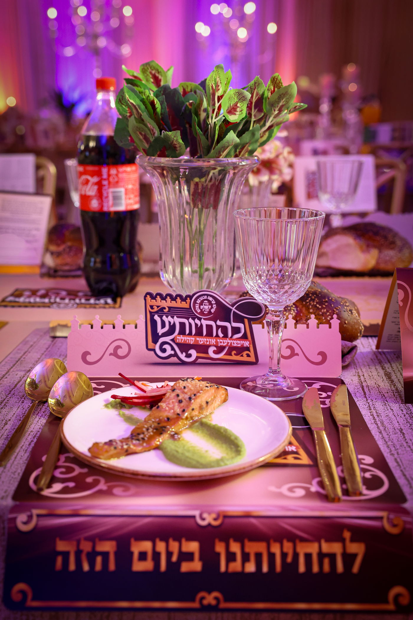 דינר להחיותינו במכנובקא בעלזא