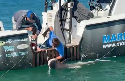 מתיעוד התקרית