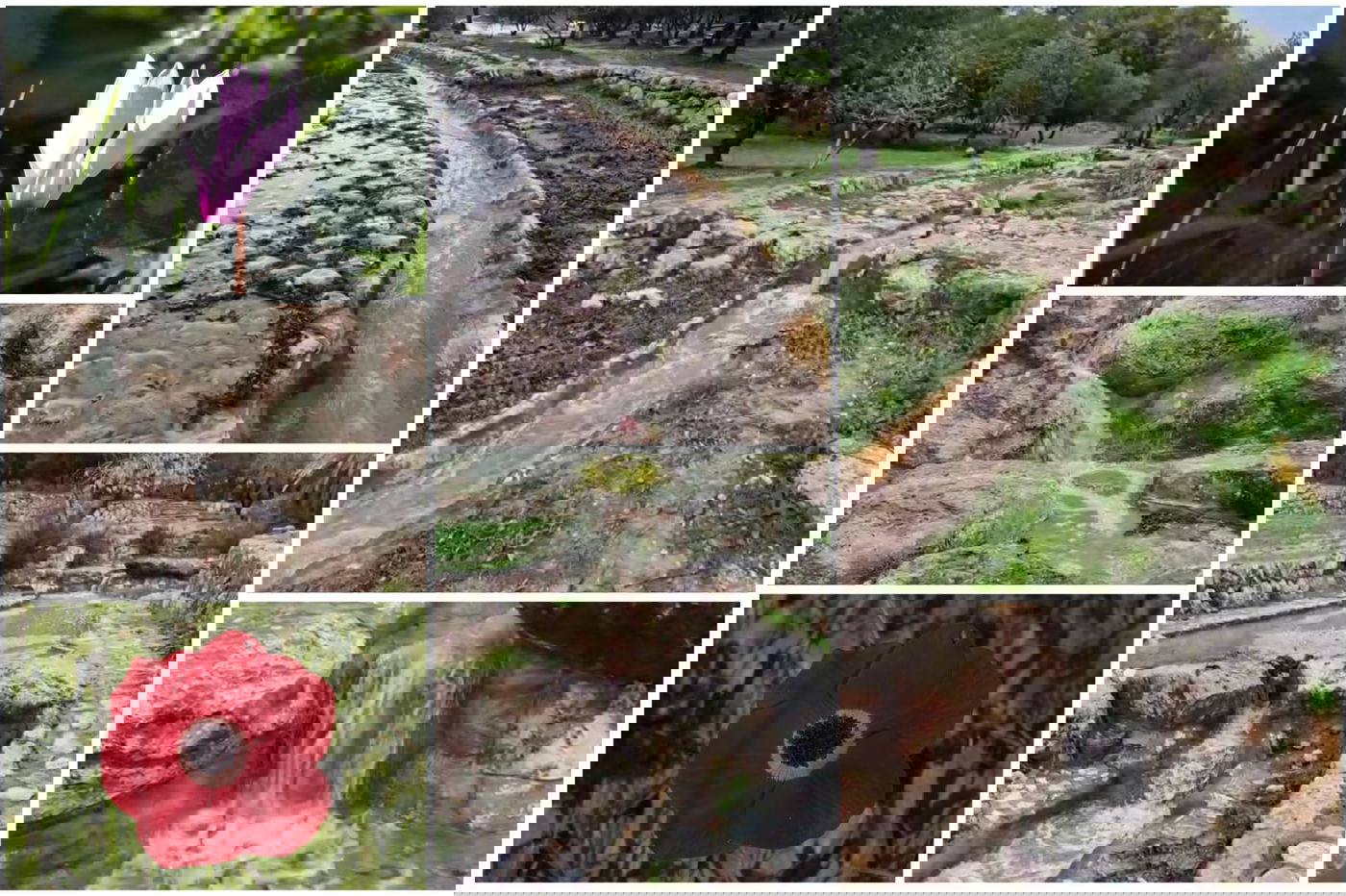 הזרימה והפריחה בפארק קנדה