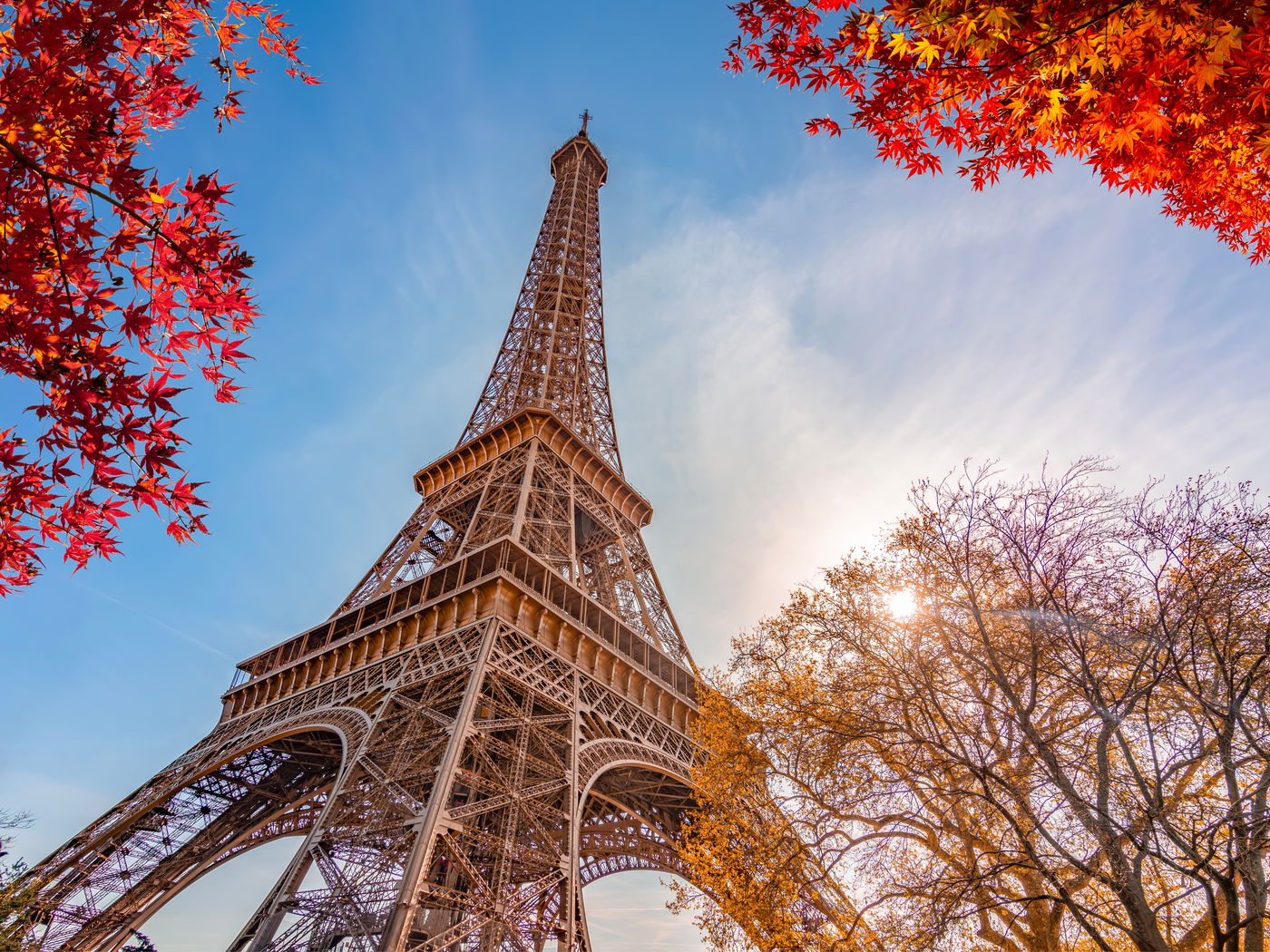 אילוסטרציה