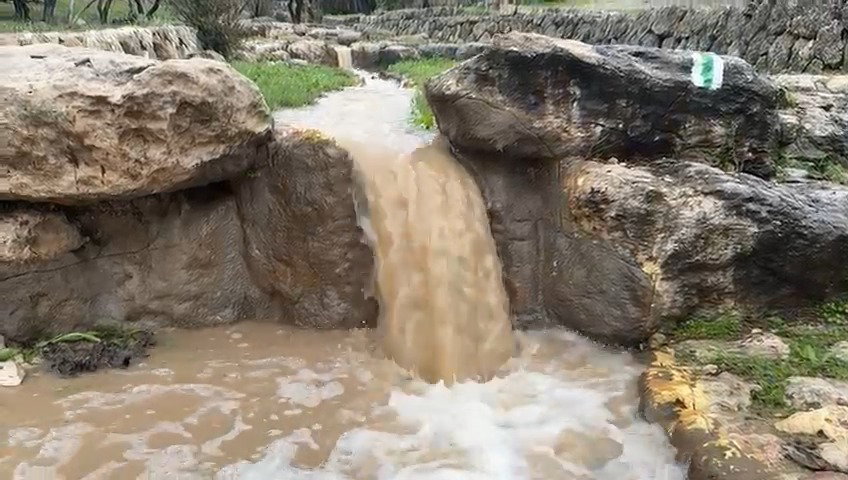 פארק קנדה