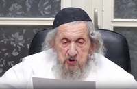 הגר"ד לנדו: "יש מפריעים שעושים הפגנות ועוד שטויות - אסור להשתתף בהן"