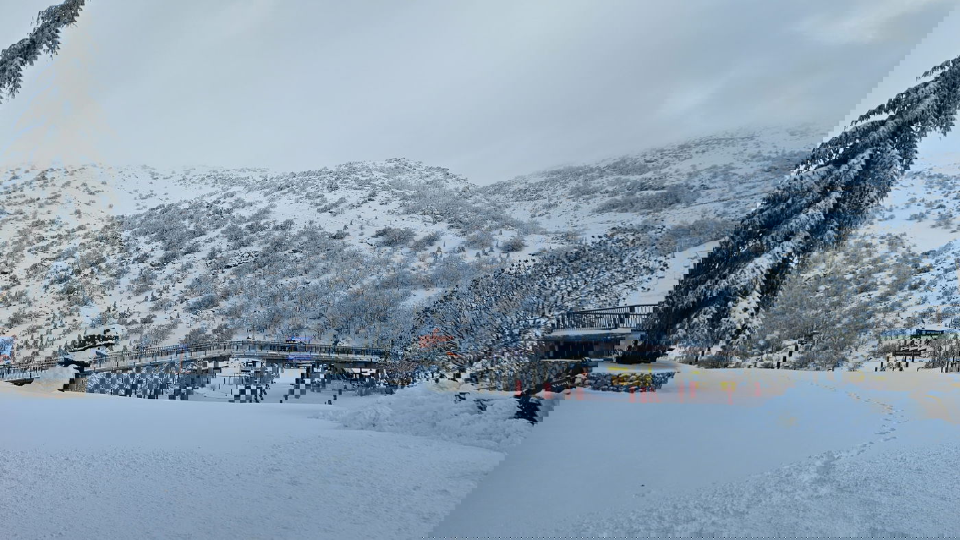 החרמון, הבוקר