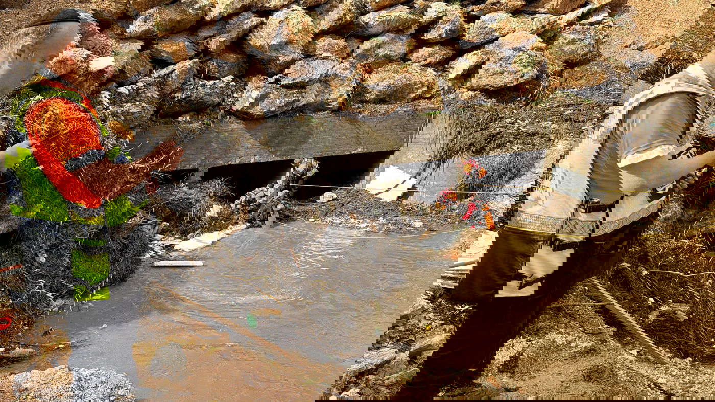 תיעוד מהחיפושים