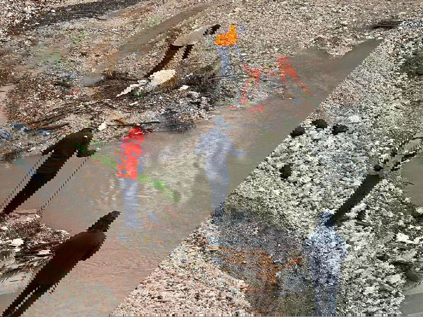 הכוחות בשטח, הבוקר