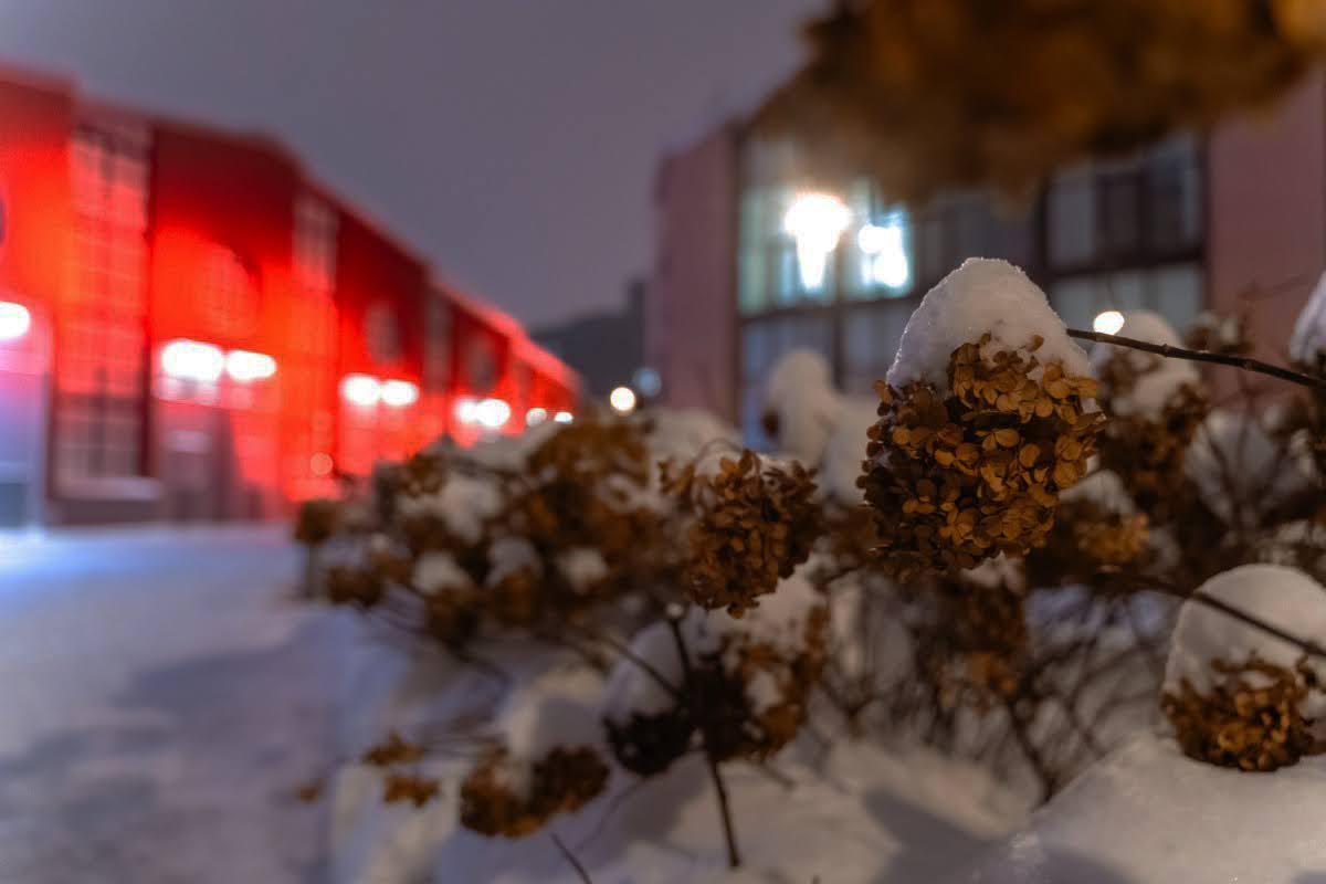 חורף ברוסיה 2026