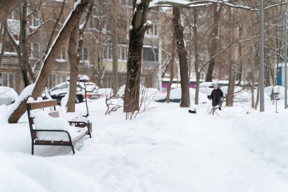 חורף ברוסיה 2026