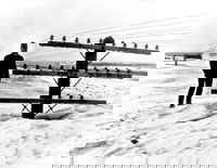 התמונה האייקונית - ביל קוך, עובד מחלקת התחבורה עומד על גבי שלג ממש ליד חוטי החשמל - דקוטה 1966