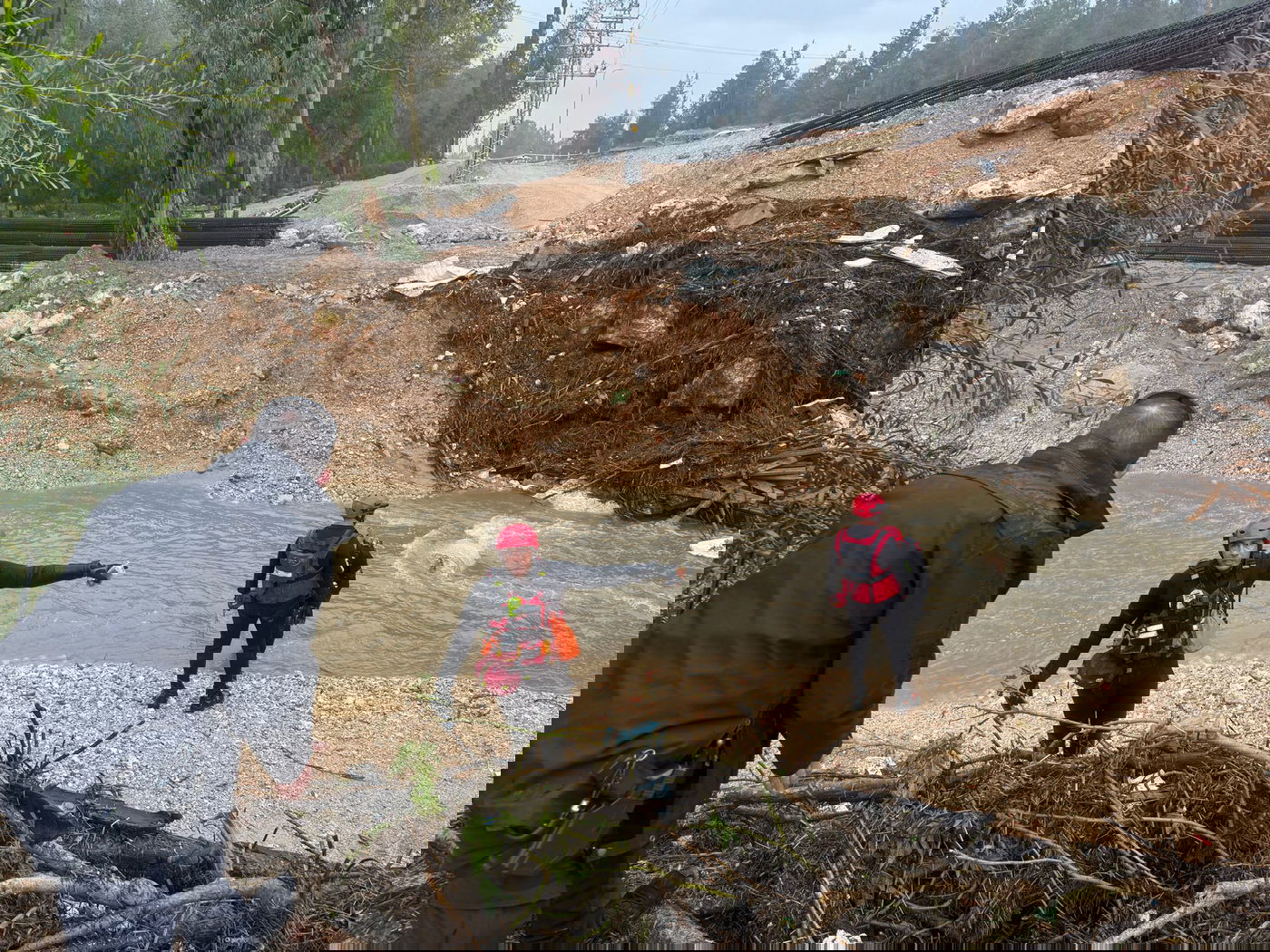 החיפושים אחר הנער, הבוקר