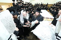 שמחת הברית לנין האדמו"ר מערלוי