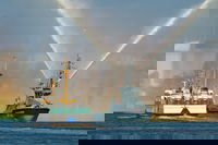 אוניות מלחמה של פולין 