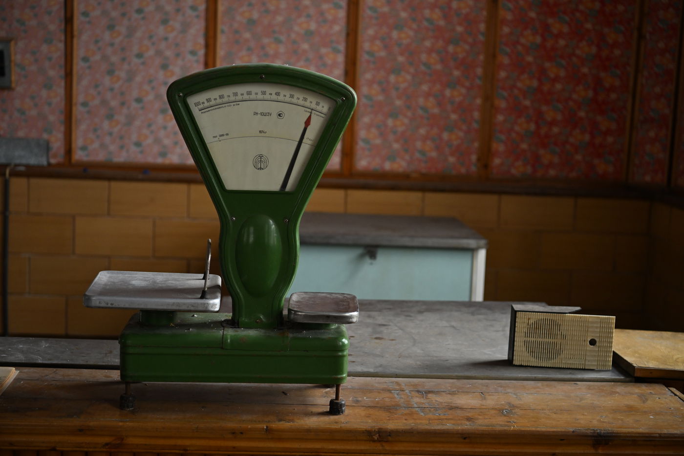 ביקור באי הנטוש 'איי פרמידן'