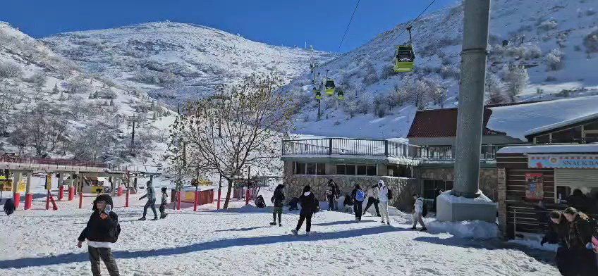 משפחות מבלות בשלג