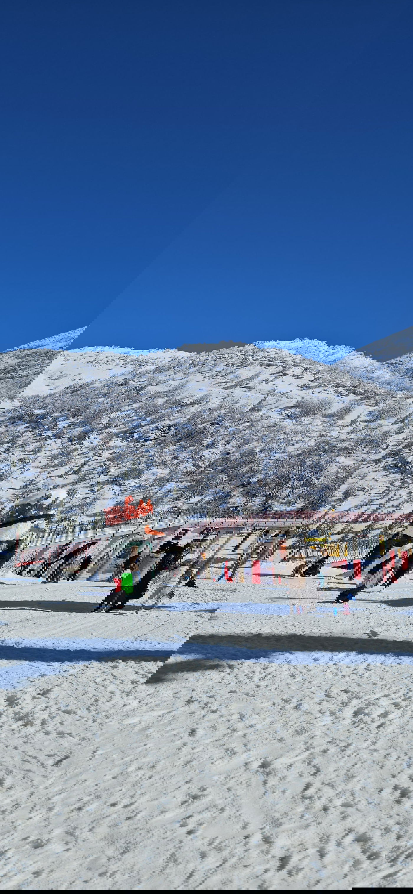 שוויץ בישראל: משפחות חרדיות לקחו פסק זמן בחרמון המושלג | תיעוד 