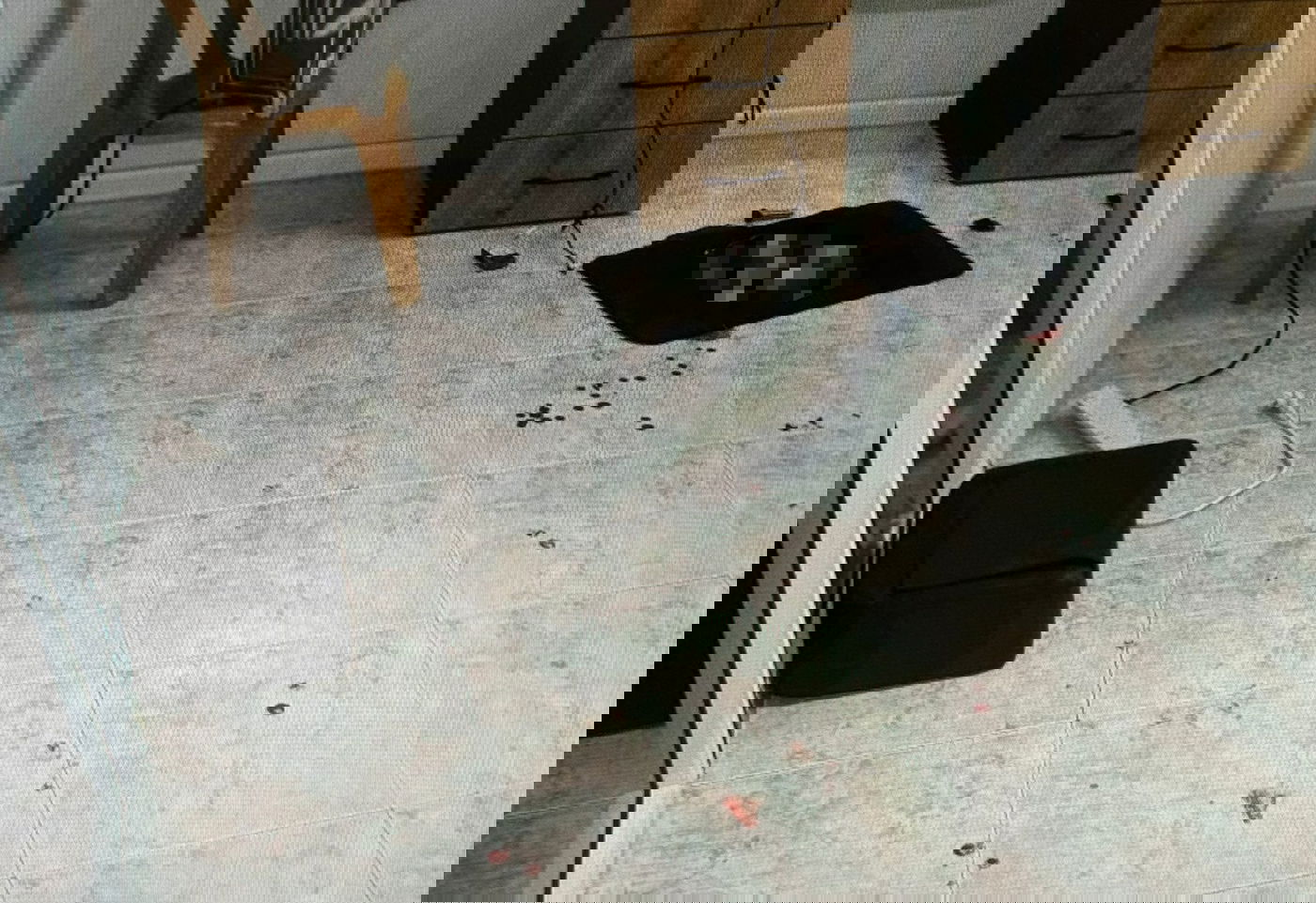 איום מצמרר: “אני אראה לכם, כנראה הירי שלי צריך להיות פוגע”
