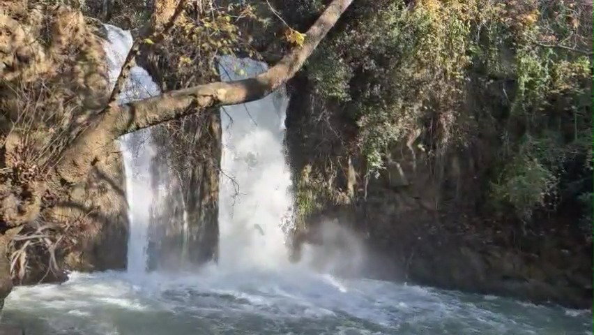 נחל הבניאס בחורף הנוכחי