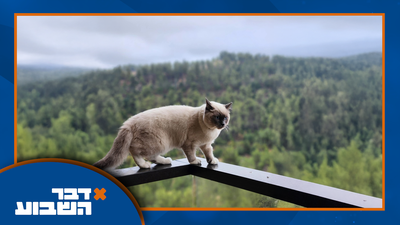 האם זריקות הרזיה זה טוב? אפשרי להאריך את חיינו ב-18 שנים? | 'דבר השבוע' בתוכנית מרתקת למוצ"ש