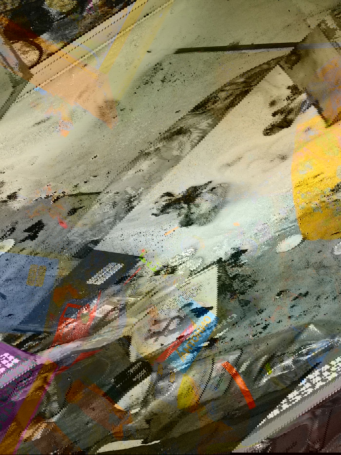 תיעוד מהשריפה