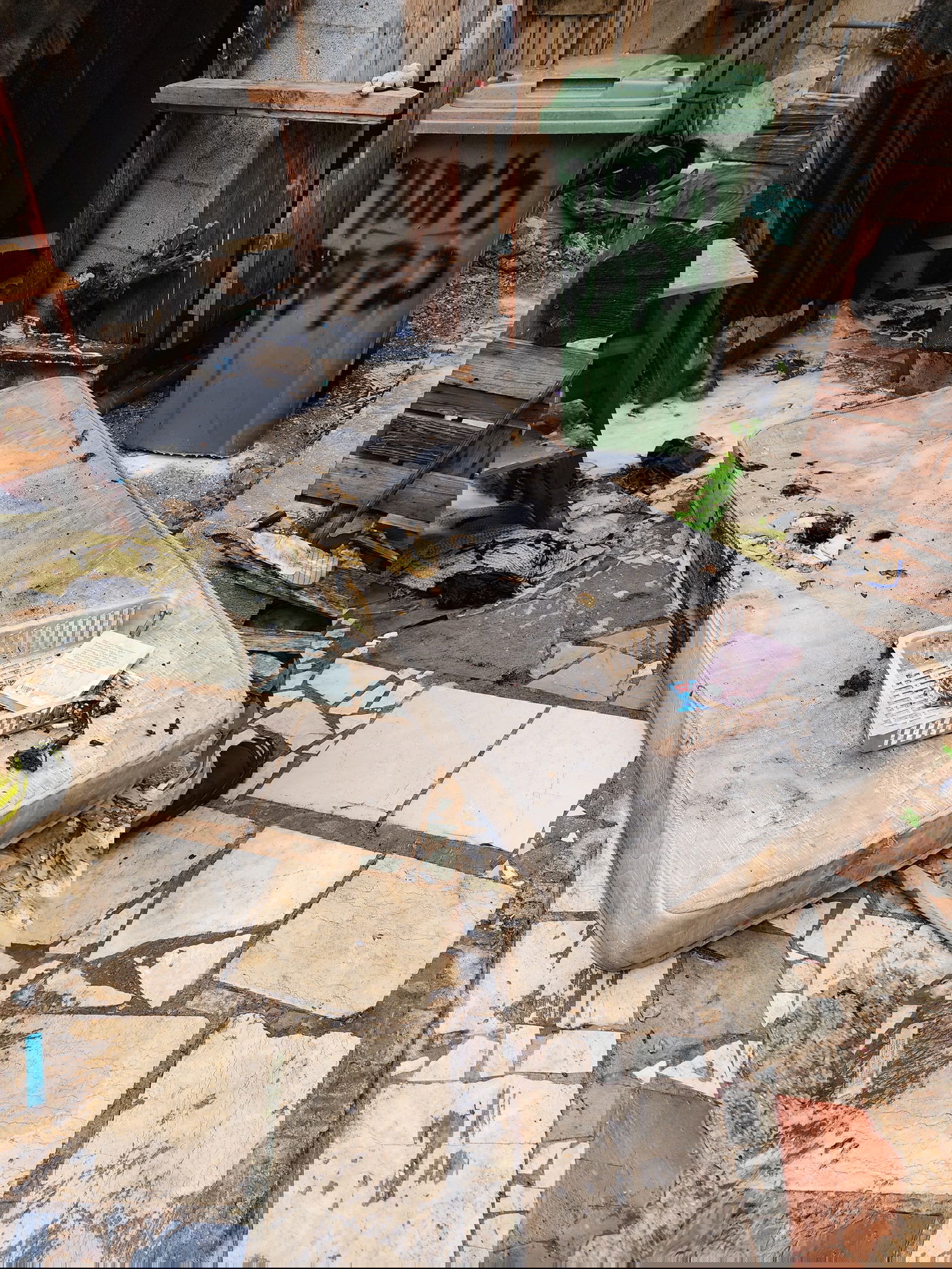 תיעוד מהשריפה