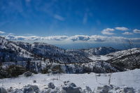 אילוסטרציה