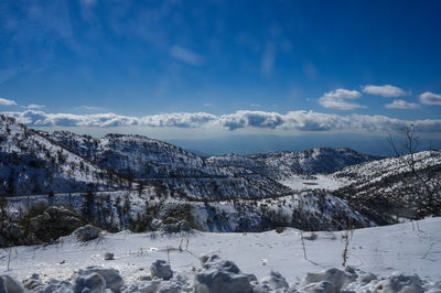 אילוסטרציה