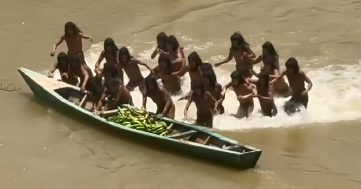 בני השבט המאשקו פירו עט על הבננות