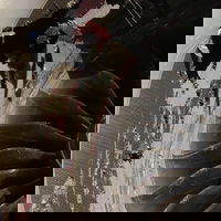 שברי המכולה בתוך המנוע