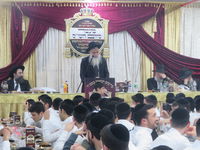 הגראון רב צבי לב 