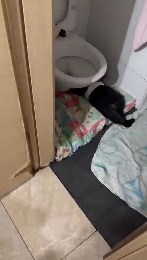 התינוק שוכב מתחת לאסלה