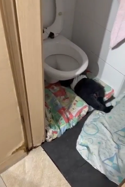 המראות המזעזעים במעון והעדויות מהמקום: תינוקות ישנו בתוך ארונות בגדים, במסדרונות וגם בשירותים