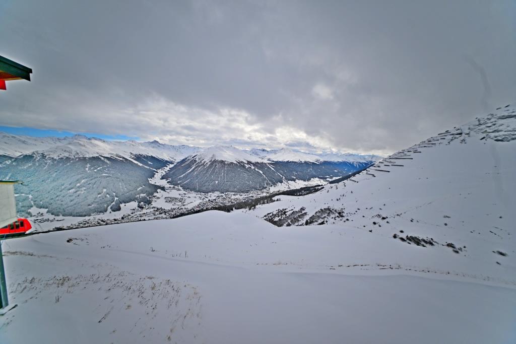 דאבוס מושלגת