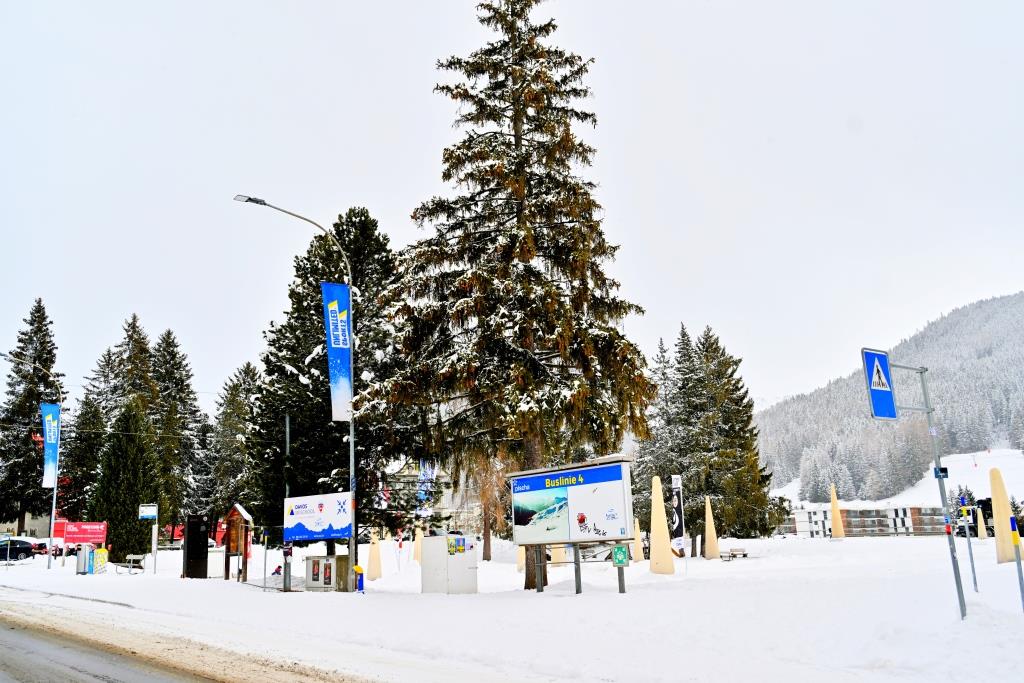 דאבוס מושלגת