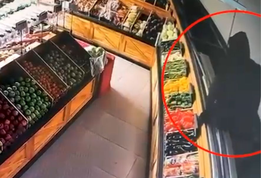 הגנב הפלסטיני ברח לגג וניסה להיעלם מתחת לפלטת עץ; כך זה נגמר | צפו