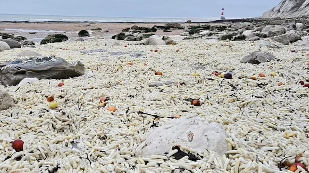 צ'יפס בחוף הים