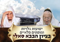 הגר"א לוי בהילולת הבבא סאלי