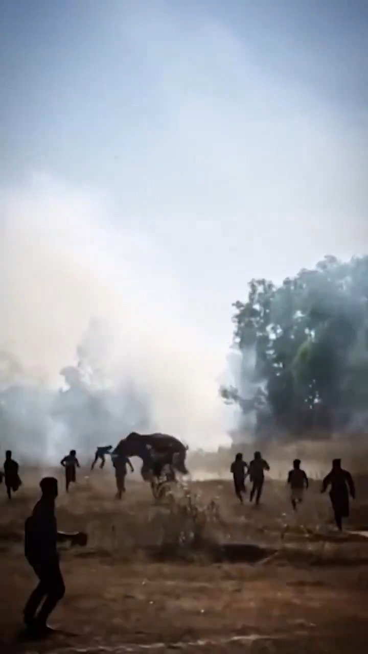 הפיל רודף אחרי אזרחים בהודו