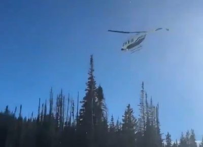 תיעוד מזעזע: מסוק מסתחרר ונופל אל תוך יער