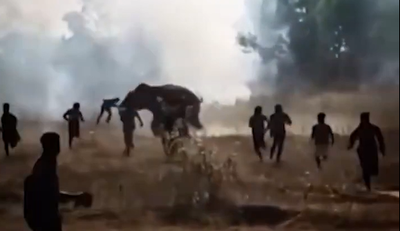 הענק שזורע אימה: תיעוד דרמטי של 'הפיל הקטלני' מהודו רודף אחרי תושבים חסרי אונים