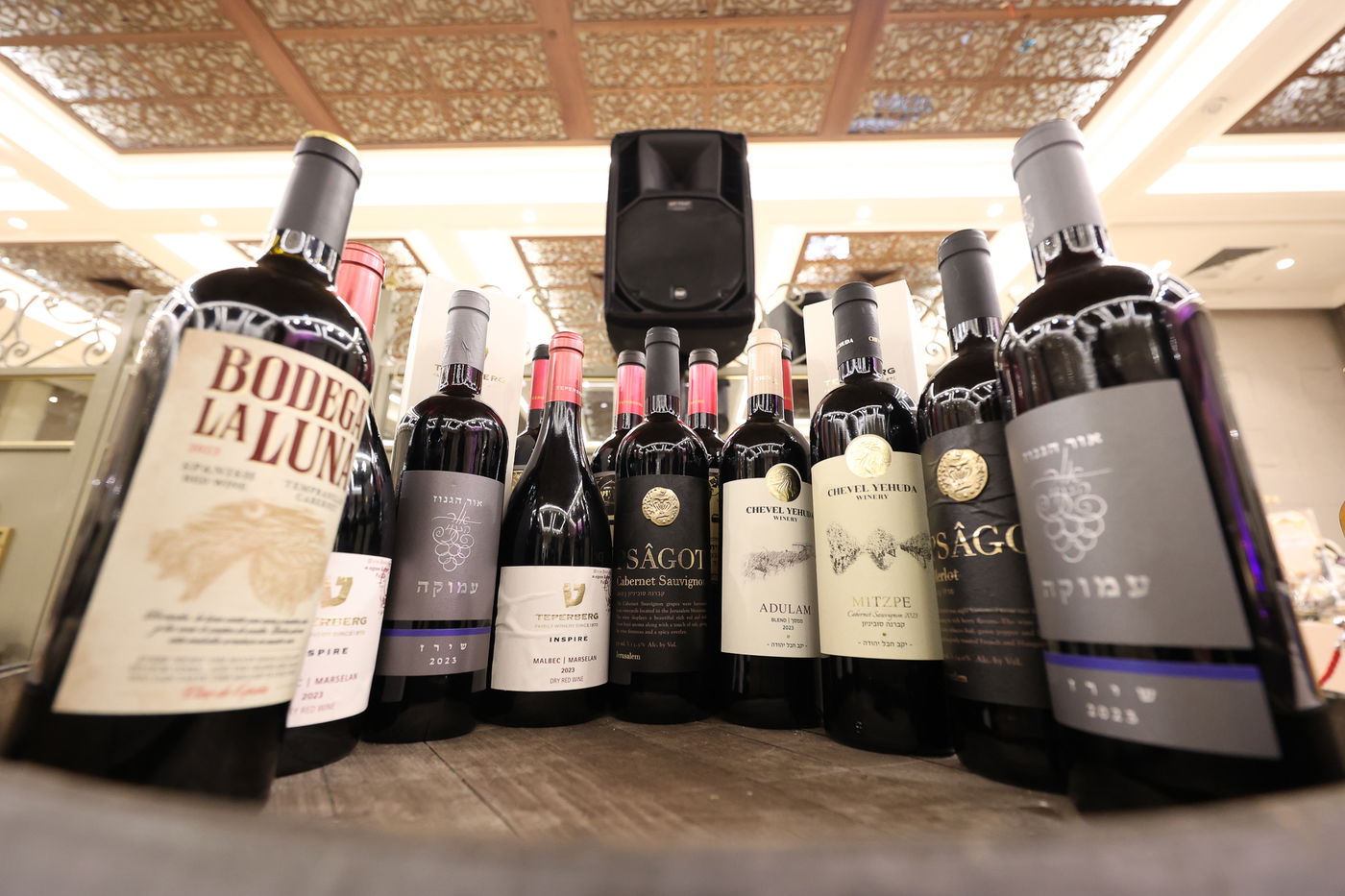 הכנסת ס"ת בויז'ניץ אלעד