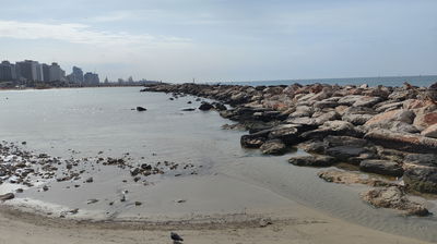 חוף הים בתל אביב 