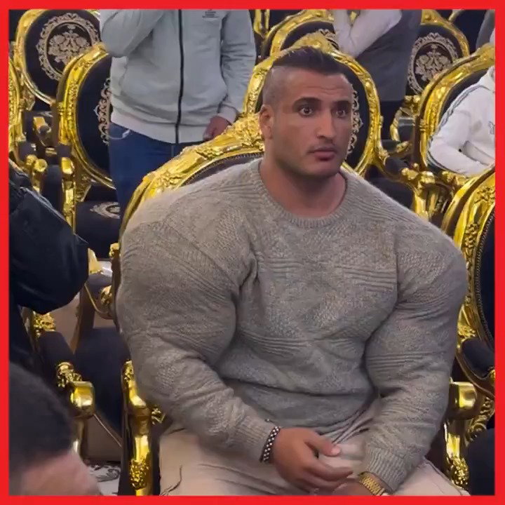 שומר הראש העוצמתי של  איש העסקים המצרי סברי נח'נוח', 