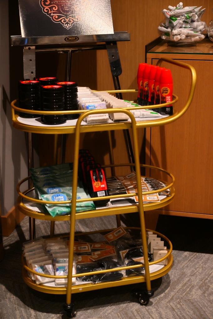 מסע הקודש של האדמו"ר מאלכסנדר לפולין