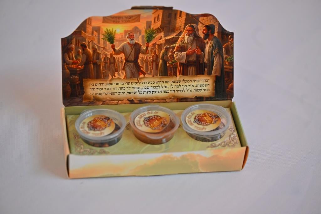 מסע הקודש של האדמו"ר מאלכסנדר לפולין