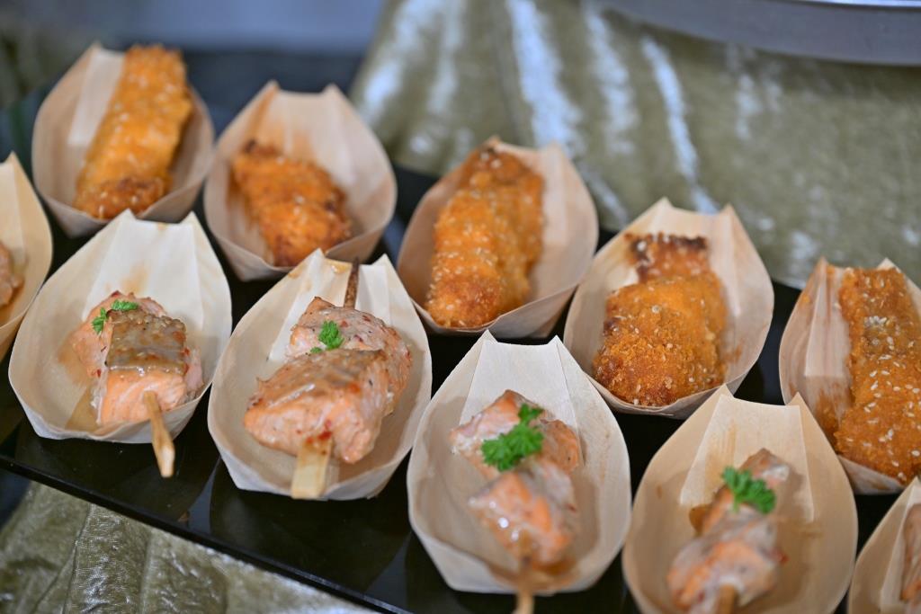 מסע הקודש של האדמו"ר מאלכסנדר לפולין