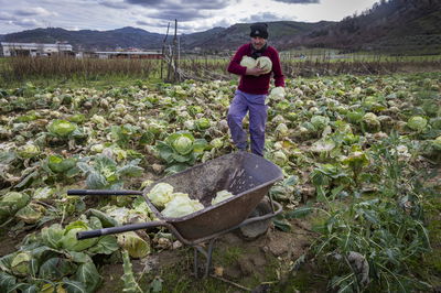 התחזית: היום ומחר - התחממות, הגשמים צפויים לחזור ביום רביעי