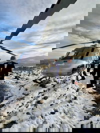 איתי לוי בקרעסטיר