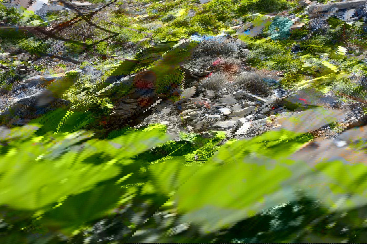 רגעי החיפושים בעזה