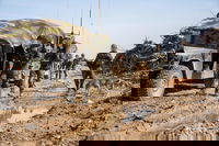 רגעי החיפושים בעזה