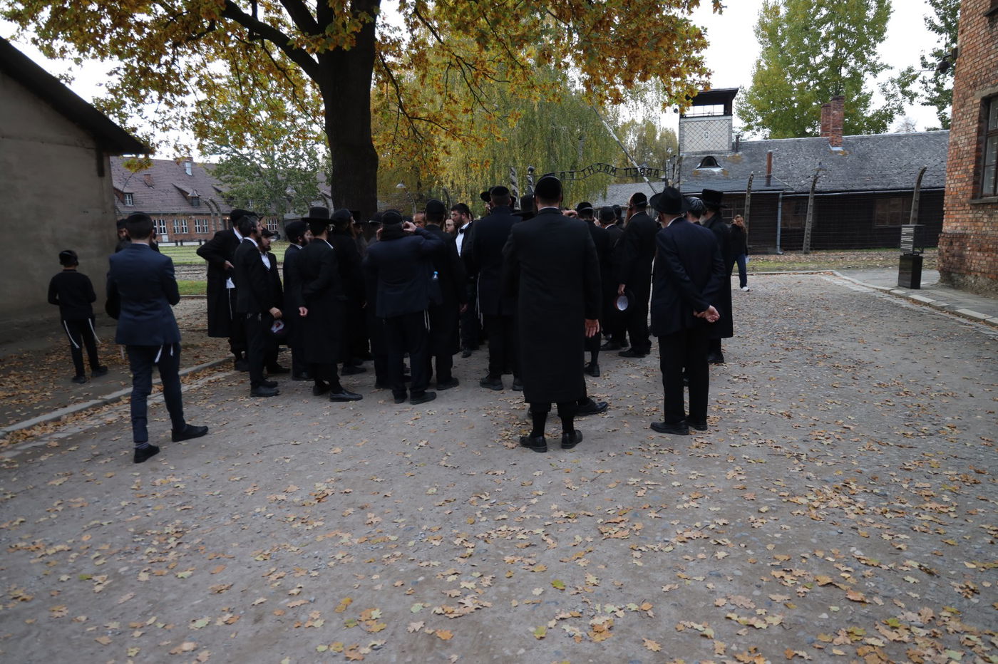 מסע משפחות ייחודי ביוזמת "אור עולם" בגליציה ובפולין