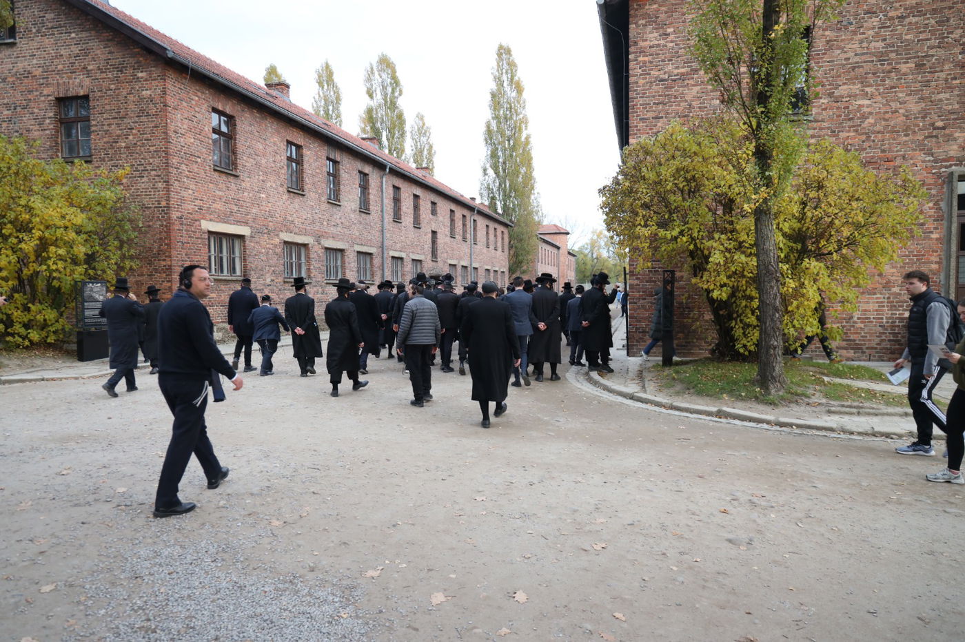 מסע משפחות ייחודי ביוזמת "אור עולם" בגליציה ובפולין